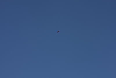IMG 1604